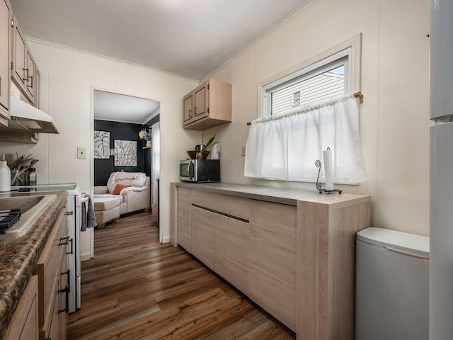 kitchen with light brown cabinets, dark wood finished floors, crown molding, under cabinet range hood, and stainless steel microwave