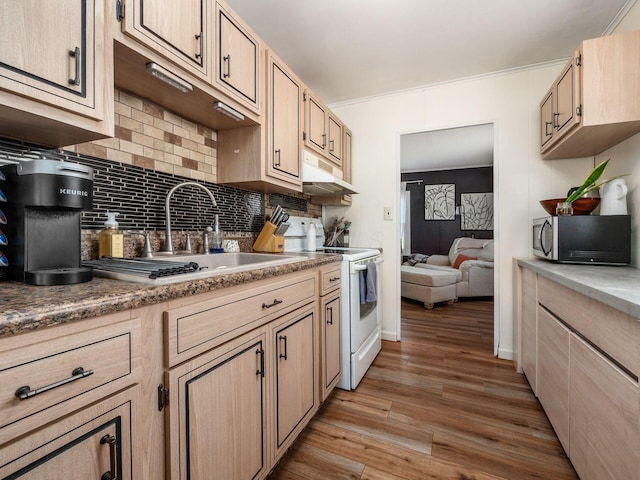 kitchen featuring wood finished floors, white range with electric cooktop, a sink, under cabinet range hood, and stainless steel microwave