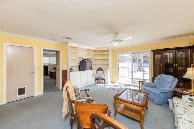 living room featuring ceiling fan, carpet flooring, visible vents, and ornamental molding