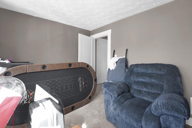 living area with carpet flooring and a textured ceiling