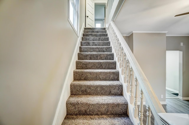 staircase featuring wood finished floors, baseboards, and ornamental molding