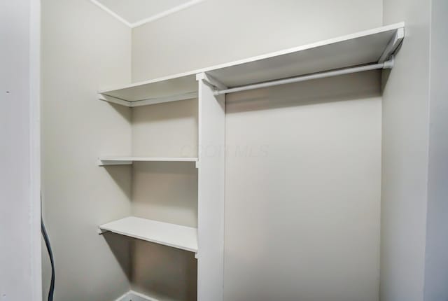 view of spacious closet