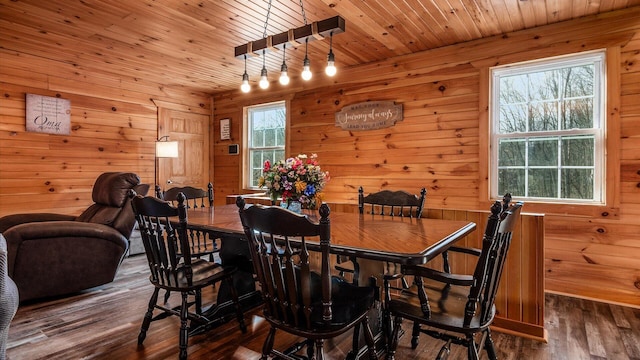 dining room with a healthy amount of sunlight, wood finished floors, wooden ceiling, and wood walls