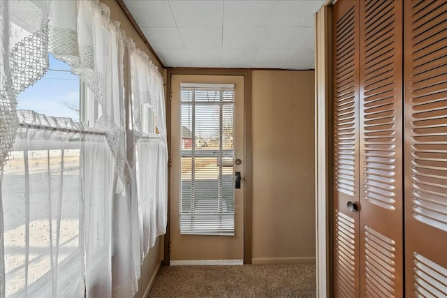 interior space featuring baseboards and carpet floors