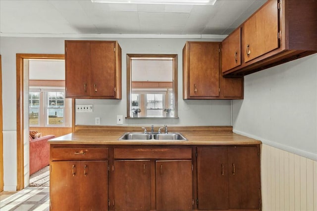 kitchen featuring a healthy amount of sunlight, radiator, light countertops, and a sink