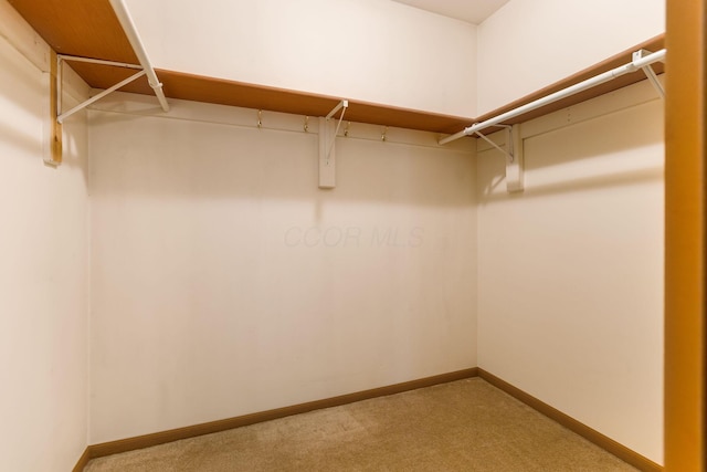 spacious closet with carpet floors