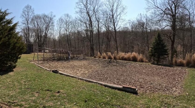 view of yard featuring a forest view