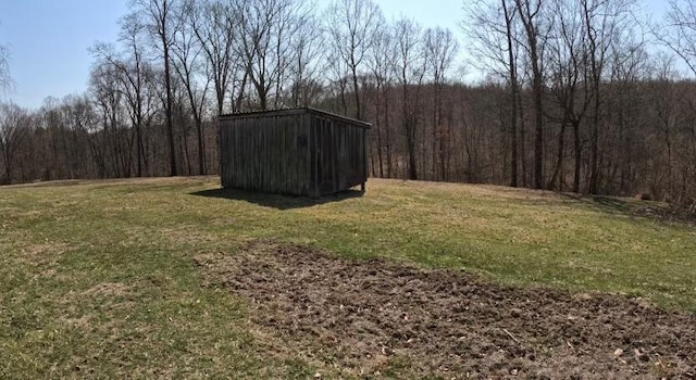 view of yard featuring a forest view, a storage shed, and an outdoor structure