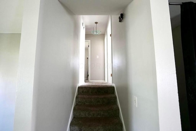 1664 Deporres Dr, Columbus, OH 43219 - stairs featuring baseboards and carpet