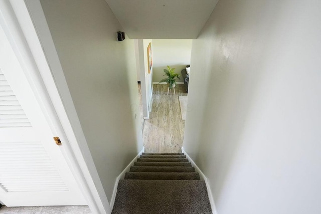 1664 Deporres Dr, Columbus, OH 43219 - stairs featuring baseboards