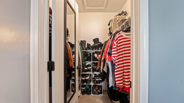 walk in closet with carpet flooring and attic access