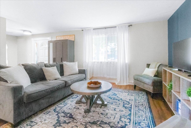 living area featuring wood finished floors