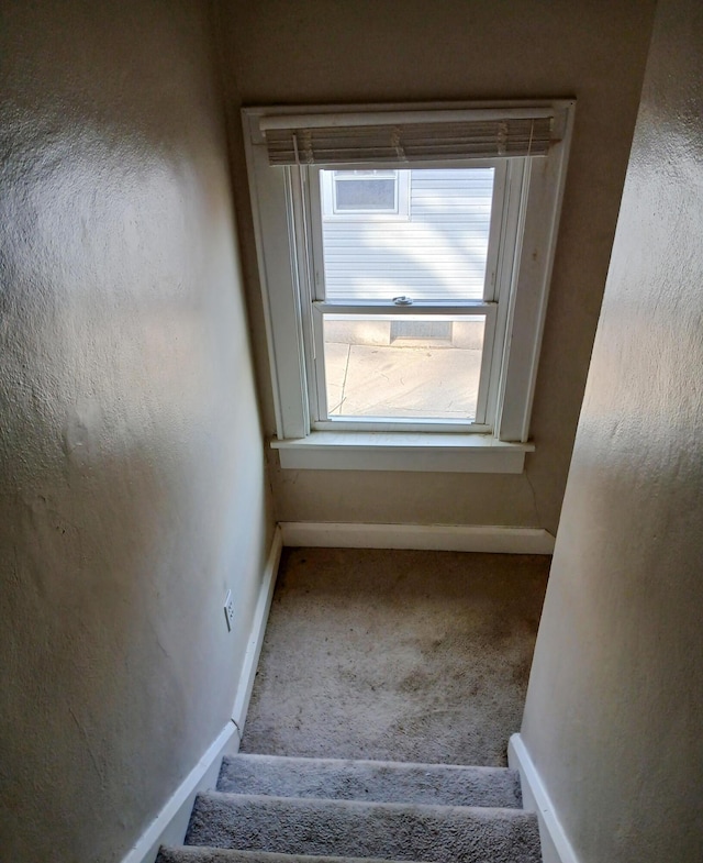 staircase with carpet and baseboards