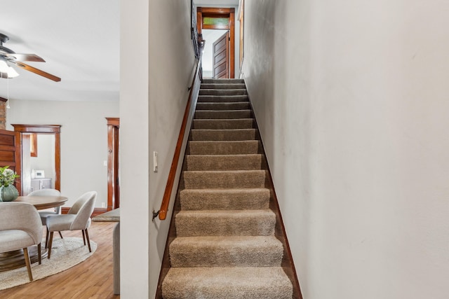 staircase with a ceiling fan and wood finished floors