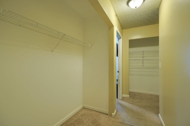 spacious closet featuring carpet flooring