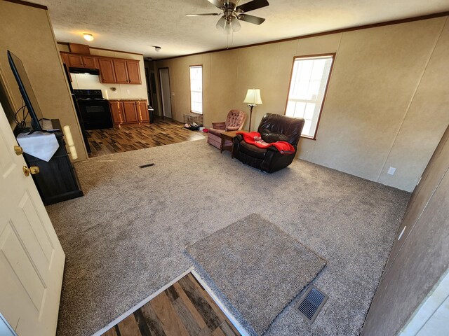 interior space featuring dark wood finished floors, dark carpet, a textured ceiling, and crown molding