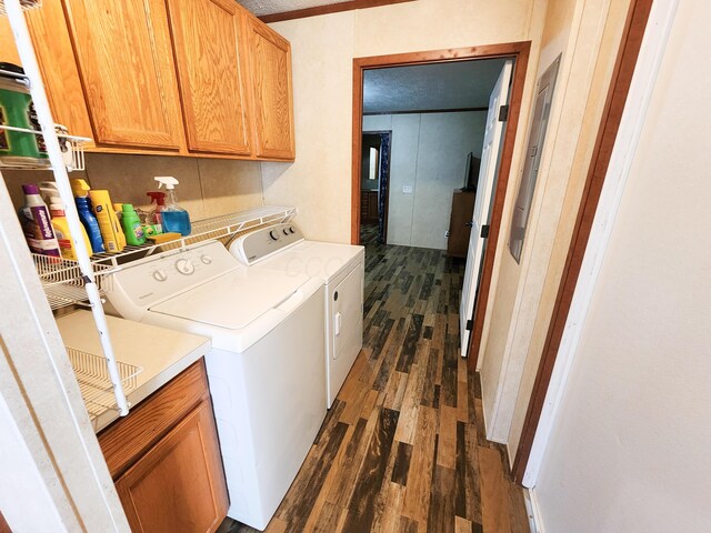 laundry room featuring dark wood finished floors, cabinet space, and washer and dryer