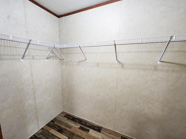 walk in closet with dark wood finished floors