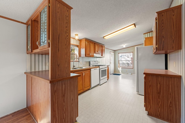 kitchen with a sink, white appliances, glass insert cabinets, lofted ceiling, and light floors