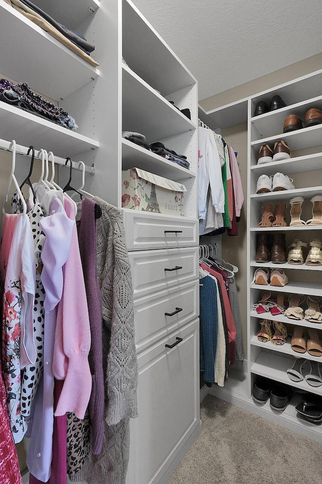 view of spacious closet