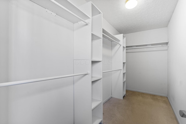 spacious closet with light colored carpet