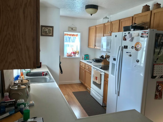 kitchen featuring light wood finished floors, light countertops, white appliances, a textured ceiling, and a sink