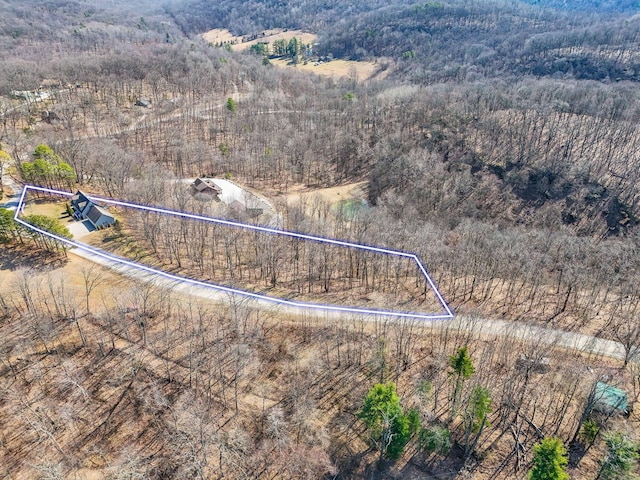 aerial view with a wooded view