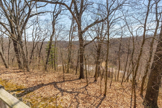 view of landscape with a wooded view