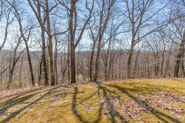 view of landscape with a wooded view