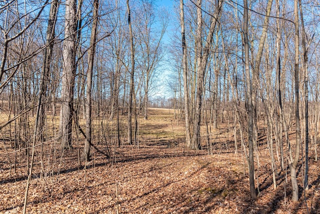 view of local wilderness