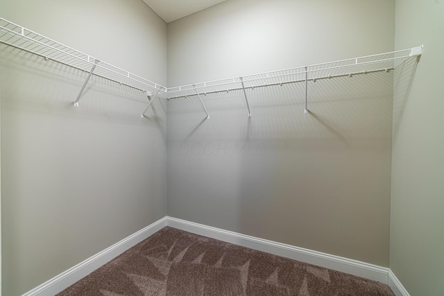 walk in closet featuring dark colored carpet