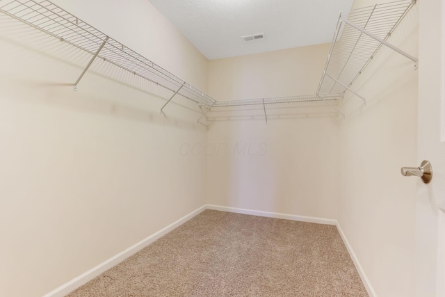 spacious closet featuring visible vents and carpet floors