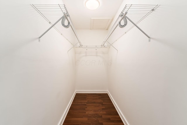 spacious closet featuring attic access and wood finished floors