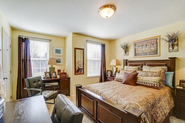 bedroom featuring multiple windows and a textured ceiling