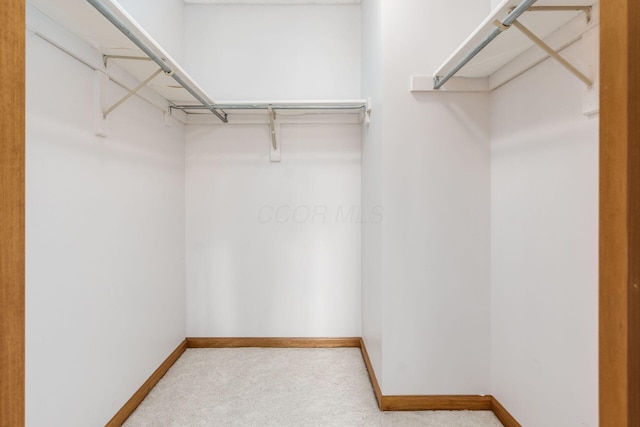 walk in closet featuring carpet