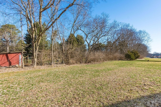 view of yard featuring a garage and an outbuilding