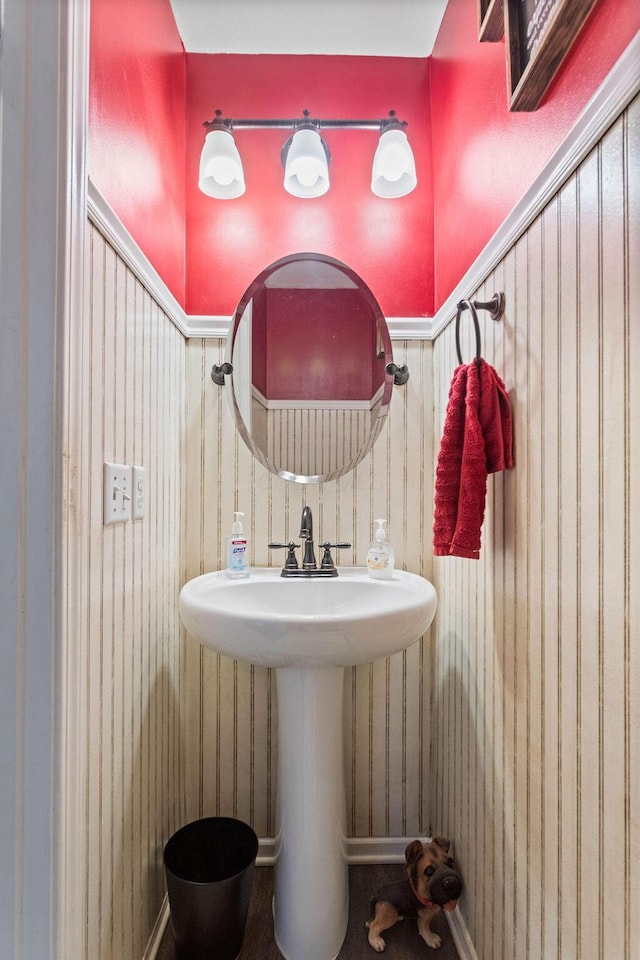 bathroom featuring a sink