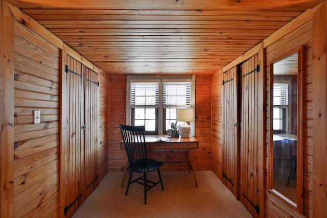 unfurnished office with carpet, wood walls, and wooden ceiling