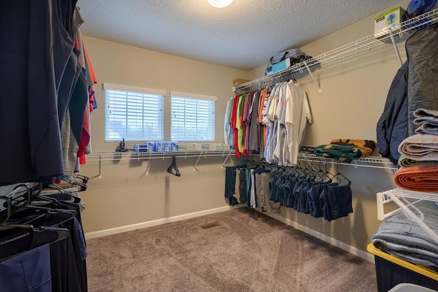 spacious closet with carpet flooring and visible vents