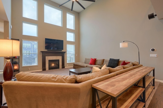 living area with a fireplace, wood finished floors, a healthy amount of sunlight, and baseboards