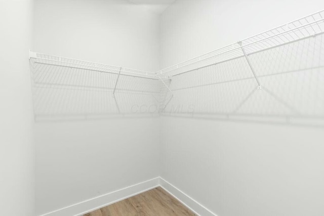 spacious closet with wood finished floors