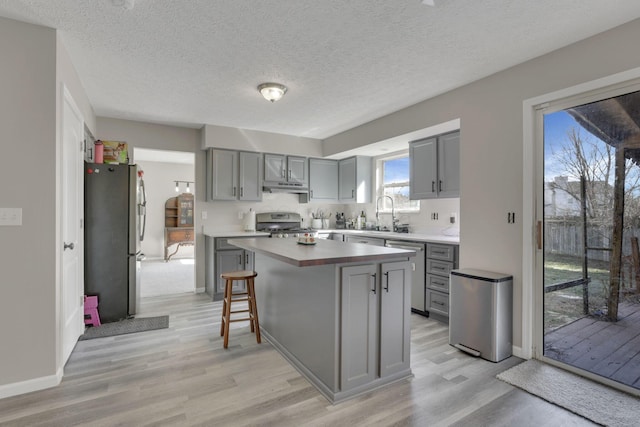 kitchen featuring under cabinet range hood, gray cabinets, stainless steel appliances, and light wood-type flooring