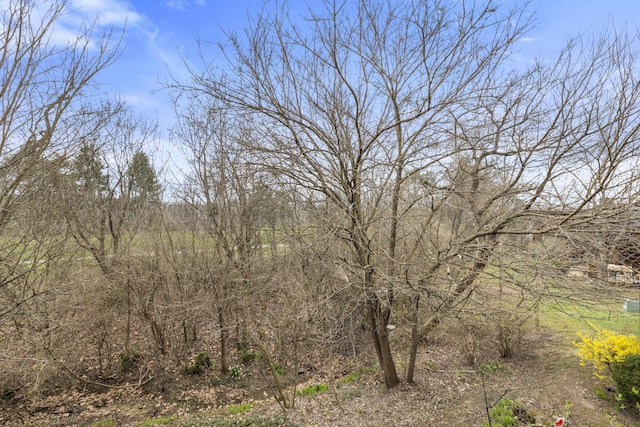 view of nature