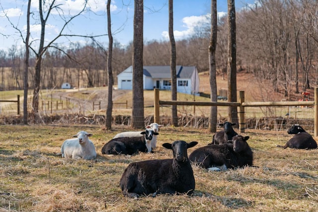 view of yard featuring a rural view and fence