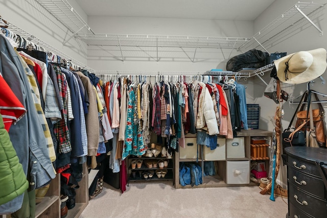 spacious closet featuring carpet