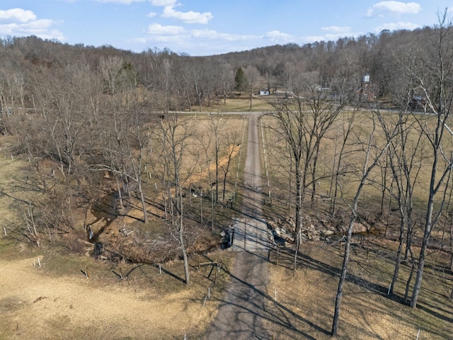 aerial view featuring a wooded view