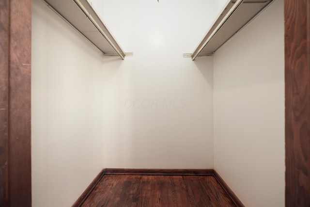 walk in closet with wood finished floors