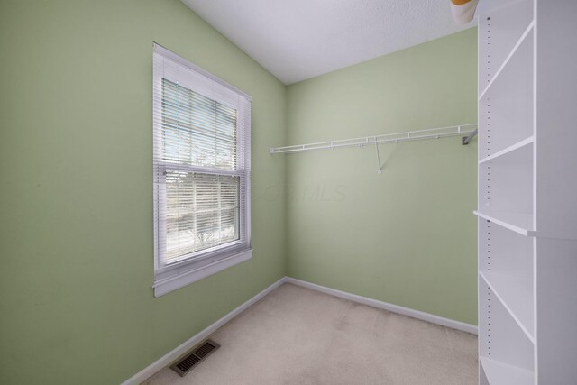 spacious closet featuring visible vents and carpet flooring