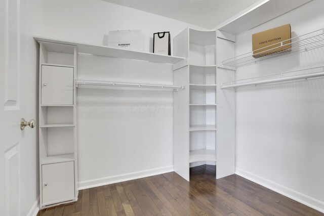 walk in closet with hardwood / wood-style flooring