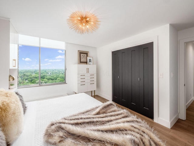 bedroom with light wood-style floors, baseboards, and a closet